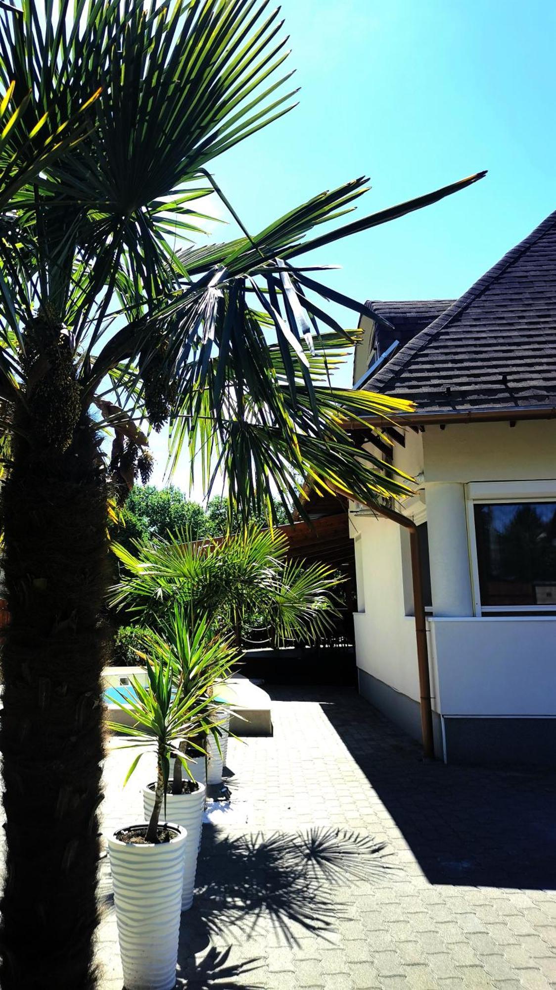 Villa House4U à Balatonszárszó Extérieur photo